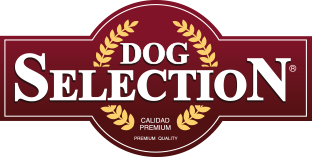 Dog Selection Logo